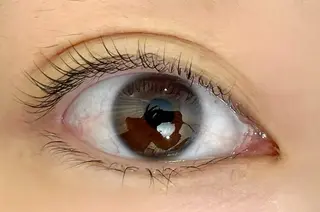 マツエク・マツパ tres AYANEのマツエク・マツパデザイン