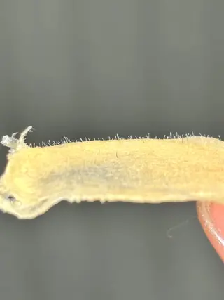 sourire.11 ‪☺︎‬‪emiのエステ・リラクイメージ