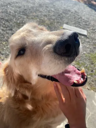 ネイルサロン& スクールGONAのネイルデザイン