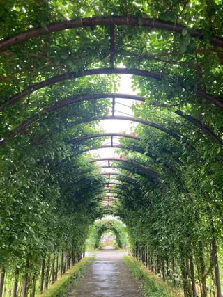 フェイシャルサロン ビアンカガーデンのエステ・リラクイメージ