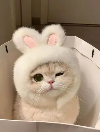 アイブロウ アイブロウ専門店  エサージュ横浜店所属・アイブロウモデル募集 /mana🎀🤍の眉毛・アイブロウイメージ