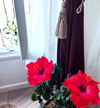 SACHIKO Yのエステ・リラクイメージ