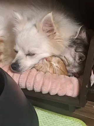 4Care所属・白金 千加子のエステ・リラクイメージ