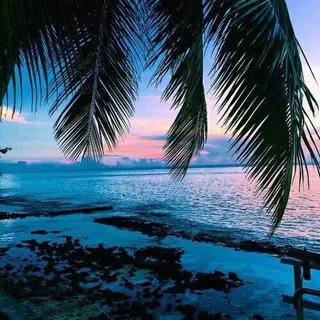 𝐘𝐎𝐒𝐇𝐈 𝐌𝐈🌞🏝のマツエク・マツパデザイン