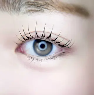 マツエク・マツパ eyelist. mizuki🐈‍⬛の眉毛・アイブロウイメージ