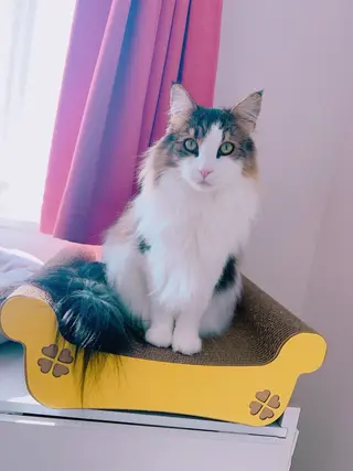 回復ケアセラピスト yukaのエステ・リラクイメージ