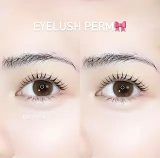 マツエク・マツパ eyelash aimyまつげパーマ・パリジェンヌ・マツエク・眉毛・バインドロック 伏見店所属・𝐘𝐔𝐈𝐍𝐀 🤍🎀のマツエク・マツパデザイン