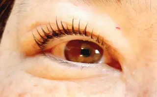 マツエク・マツパ Mresyume MAYUのマツエク・マツパデザイン