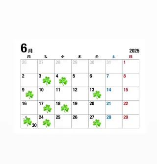 ロング カラー MIREI /韓国風 ショート/大阪美容室のヘアスタイル