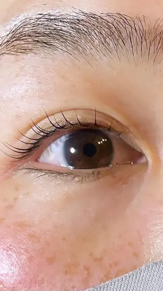 マツエク・マツパ petit bonheurのマツエク・マツパデザイン