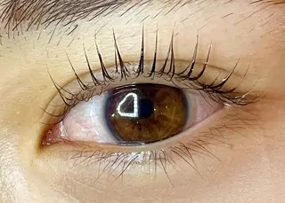 マツエク・マツパ Celeste Venus所属・🧸Celeste Venusのマツエク・マツパデザイン