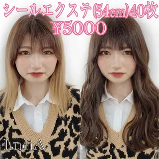 ロング ヘアアレンジ カラー LuciA/エクステ カラーのヘアスタイル