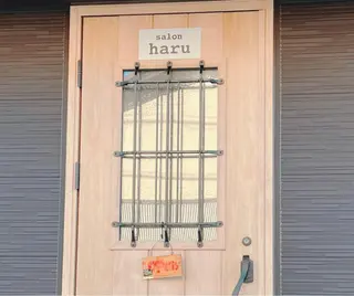 haru ⭐︎のその他イメージ