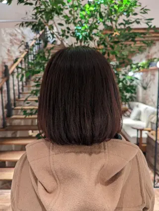 カラー WARREN・TRICOMI NEW YORK 表参道店所属・ハイライト/白髪ぼか し/透明感/惇平のヘアスタイル