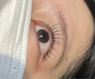 マツエク・マツパ MAQUIA蒲田店 横山のマツエク・マツパデザイン