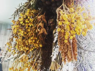 マツエク・マツパ utaeyelash所属・中川 朋美のマツエク・マツパデザイン