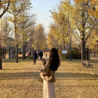 カラー 透け上品ハイトーン 職人ゆうと🤍のヘアスタイル