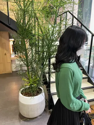 ロング カラー メンズカット/柏/韓 国/メンズパーマ航太のヘアスタイル