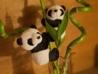 Sunny 直樹のエステ・リラクイメージ