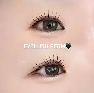 マツエク・マツパ eyelash aimyまつげパーマ・パリジェンヌ・マツエク・眉毛・バインドロック 伏見店所属・𝐘𝐔𝐈𝐍𝐀 🤍🎀のマツエク・マツパデザイン