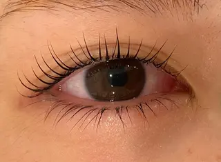 マツエク・マツパ Daisy lash 京橋店堀井のマツエク・マツパデザイン