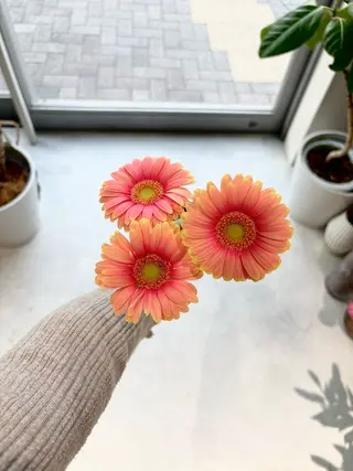 キッズ 🪻花屋併設🪻秀島 有紀のヘアスタイル