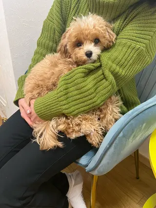 amb'M "アム"のエステ・リラクイメージ