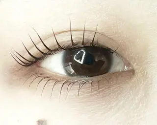 マツエク・マツパ Celeste Venus所属・🧸Celeste Venusのマツエク・マツパデザイン