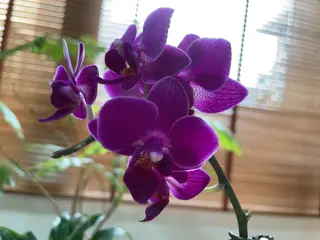 プライベートサロン 花水月のエステ・リラクイメージ