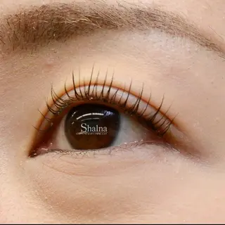 マツエク・マツパ まつげパーマ専門店 シャルナ　船橋店のマツエク・マツパデザイン