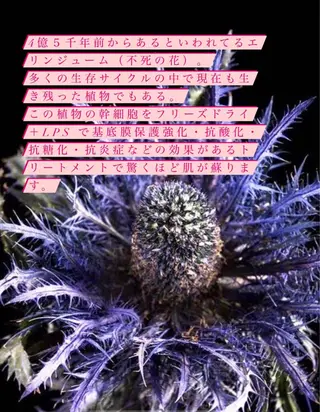 ð
ð
€ð
©ð
ð
salonã®ãšã¹ãã»ãªã©ã¯ã€ã¡ãŒãž