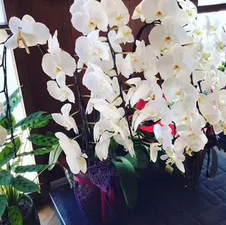 hair＆nail NO-MU所属・hair＆nail NO-MUのネイルデザイン