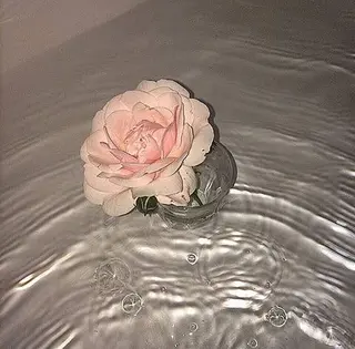 眉毛専門サロンecarg(エサージュ)横浜店所属・エサージュ横浜店 日下春香のマツエク・マツパデザイン