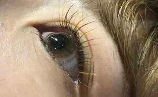 マツエク・マツパ Ai Quick 北千住🌿saitoの眉毛・アイブロウイメージ