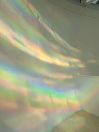 カラー 和田 あおいのヘアスタイル