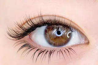 マツエク・マツパ 小林 玲奈のマツエク・マツパデザイン