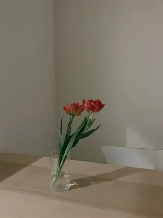 高畑 恵莉 👒 暖色 / 艶髪 🧺のヘアスタイル