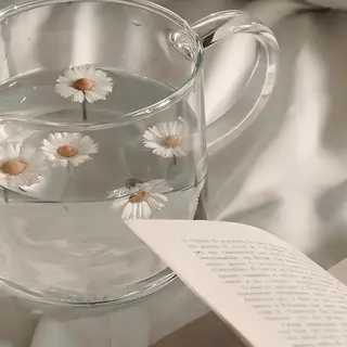 ネイル nicolenail /emureのネイルデザイン