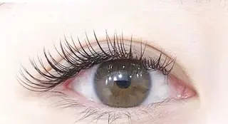 マツエク・マツパ Livnus リブナスのマツエク・マツパデザイン