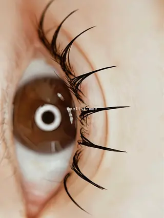 マツエク・マツパ Moe. 🌿‬☽のマツエク・マツパデザイン