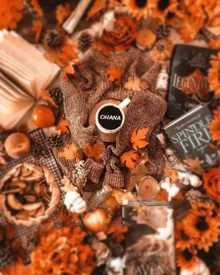 ブラジリアン☆WAX 🎖🌚YUKI🌚のエステ・リラクイメージ