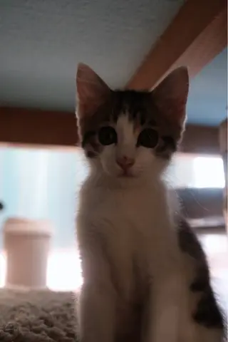 ネイル Kaka Nailsのネイルデザイン