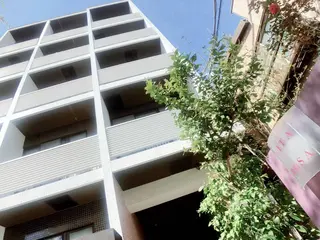 吉川 律子のマツエク・マツパデザイン