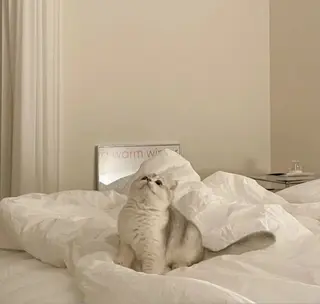 アイブロウ アイブロウ専門店  エサージュ横浜店所属・アイブロウモデル募集 /mana🎀🤍の眉毛・アイブロウイメージ