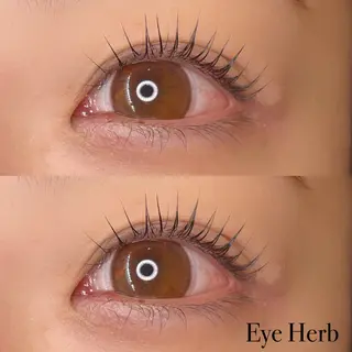 マツエク・マツパ Eye Herb beauty salon所属・♡ Mireiのマツエク・マツパデザイン
