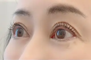 マツエク・マツパ Tendre Rêveのマツエク・マツパデザイン