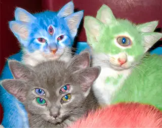 ネイル つめノ さきのネイルデザイン