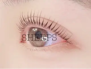 マツエク・マツパ SHEEPS 小島のマツエク・マツパデザイン