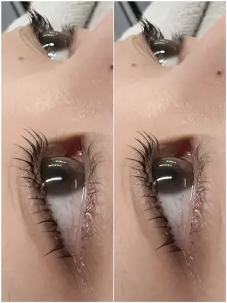 マツエク・マツパ ネモア久留米店 🌼AYUMI🌼のマツエク・マツパデザイン