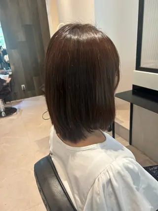 ミディアム カラー 縮毛矯正/カット/ 韓国ヘア/蛯原🍤のヘアスタイル